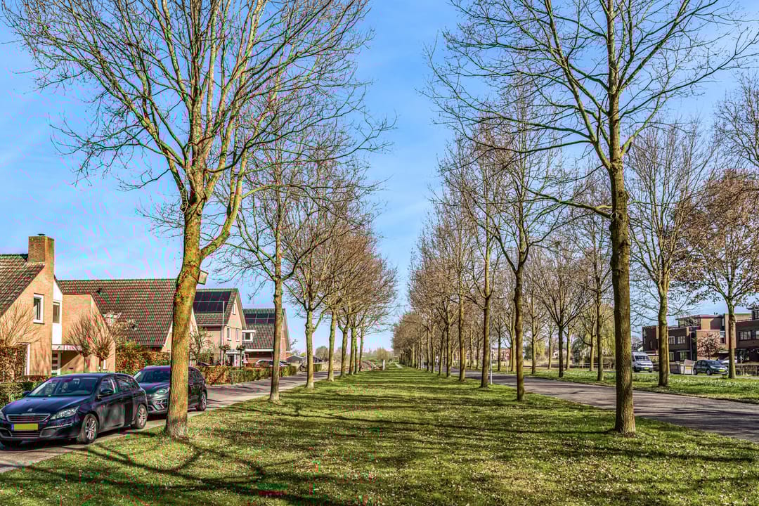 Photo 43 of Steenovenlaan 8