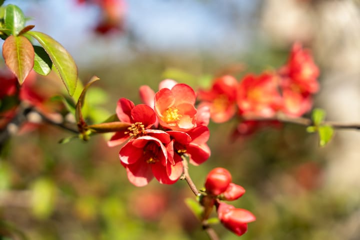 Foto 31 van Heirbaan 391