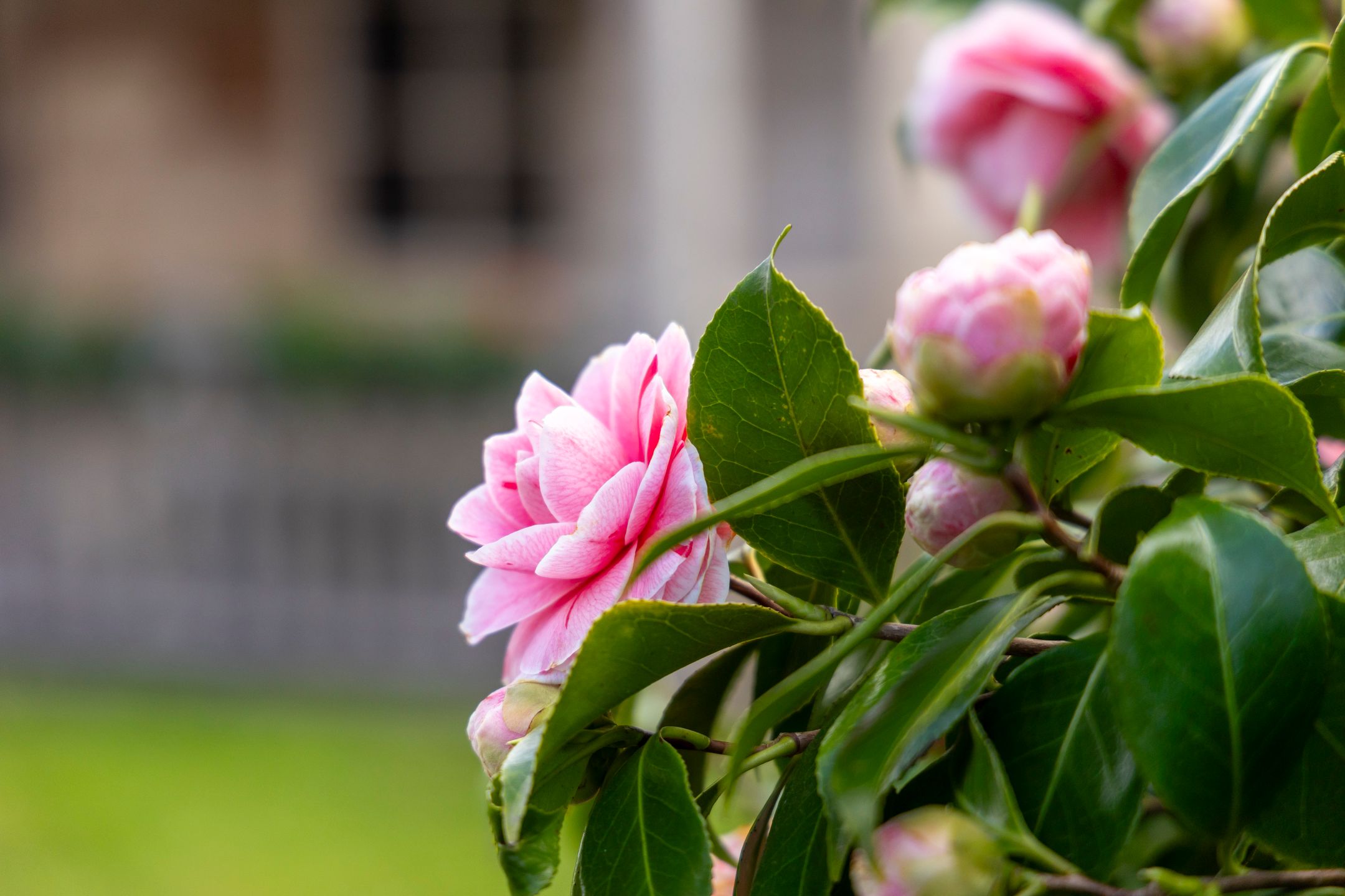 Foto 54 van Fuutlaan 1