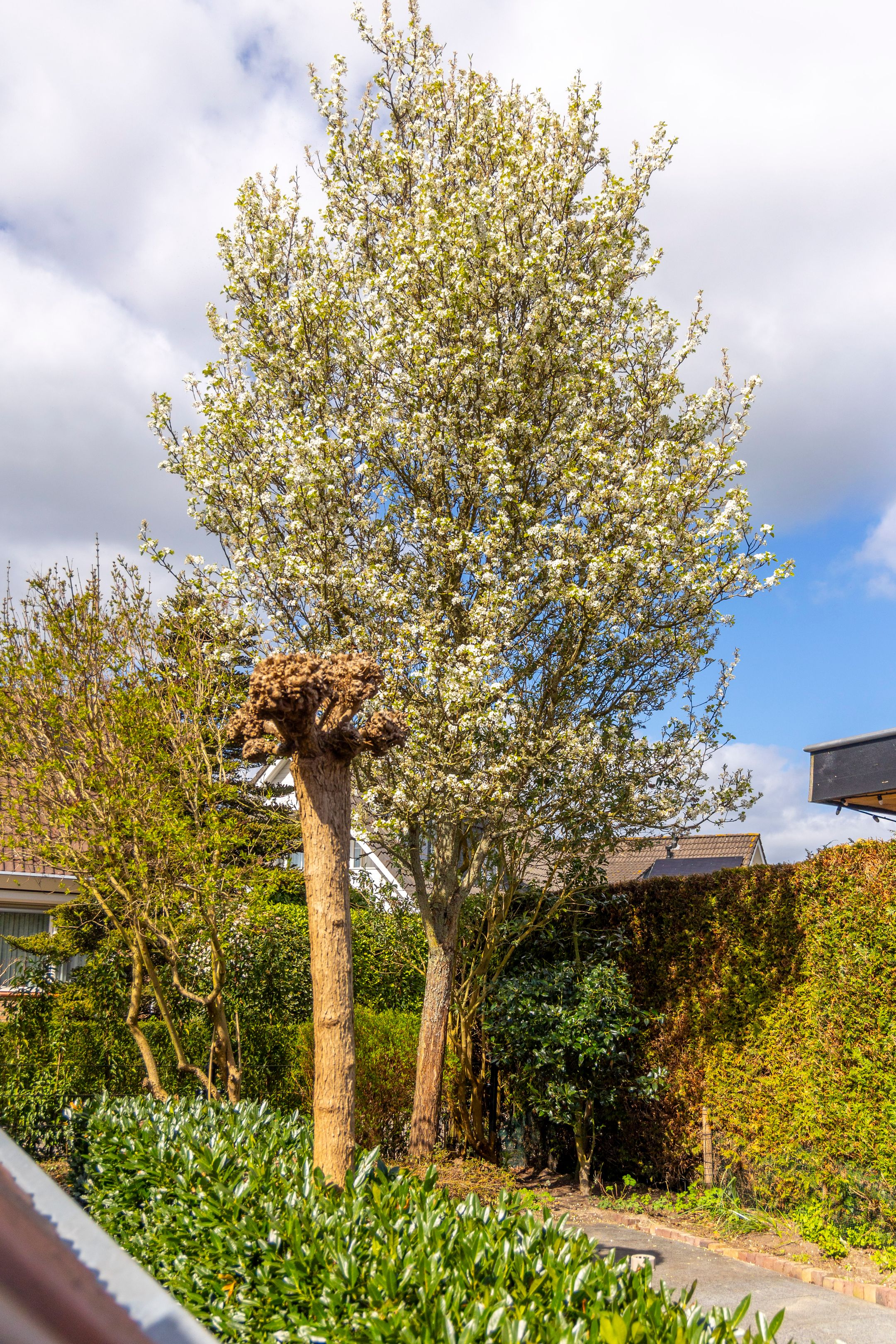 Foto 63 van Fuutlaan 1