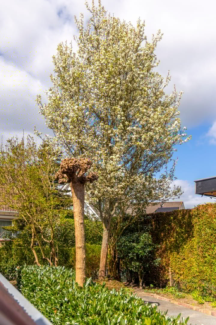 Foto 63 van Fuutlaan 1