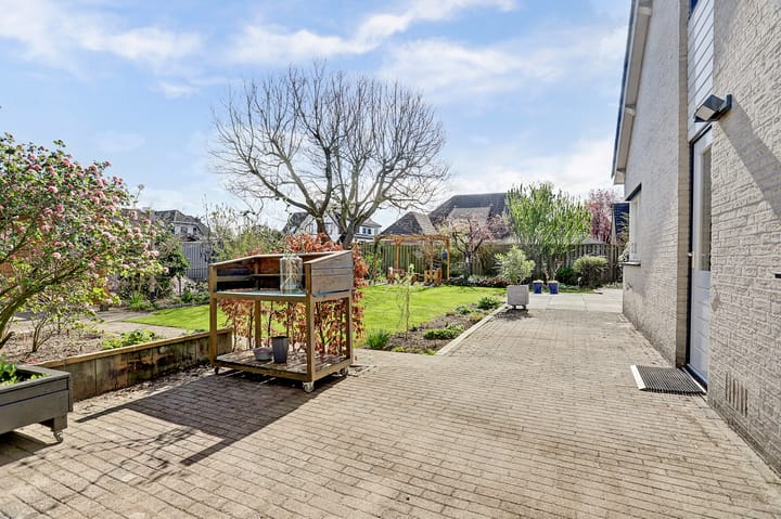 Foto 45 van De Zanden 5