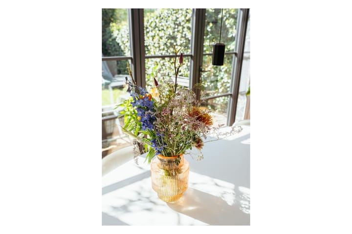 Foto 21 van Buitenveer 29