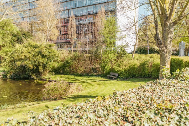 Foto 65 van Buitenveer 29