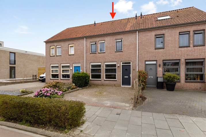 undefined main image