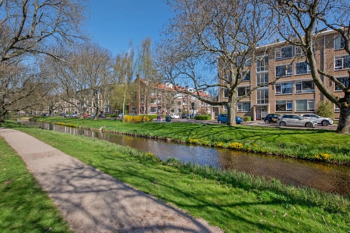 Foto 19 van Aart van der Leeuwkade 42