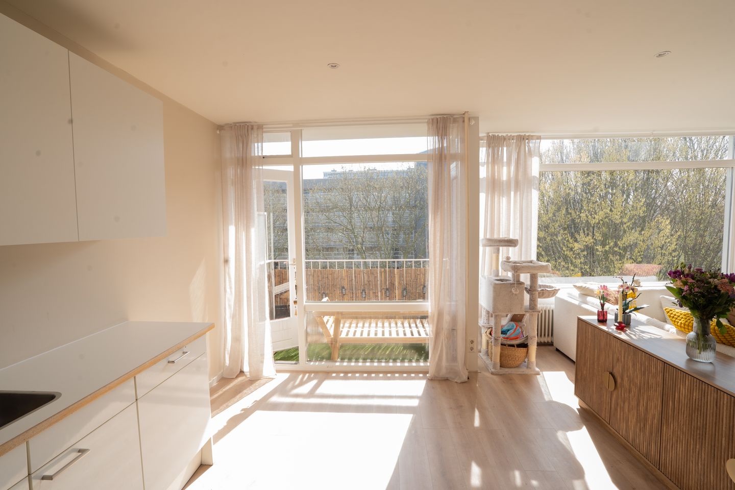 Foto 20 van Isabellaland 1628