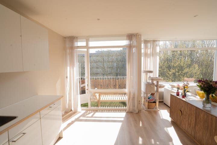 Foto 20 van Isabellaland 1628