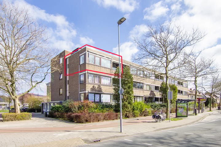 Foto 25 van Tesselschadeplein 17