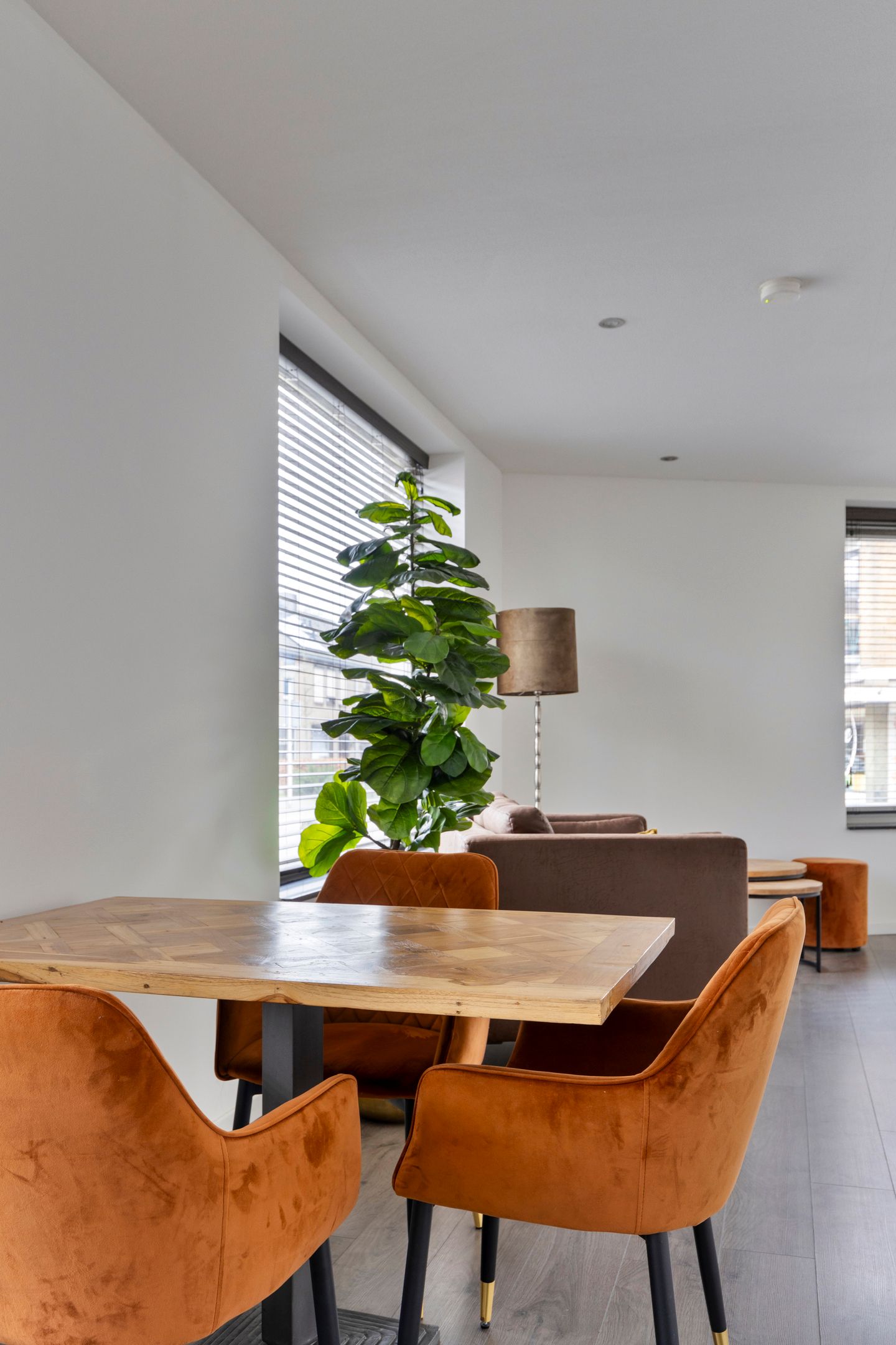 Foto 15 van Hoogstraat 260