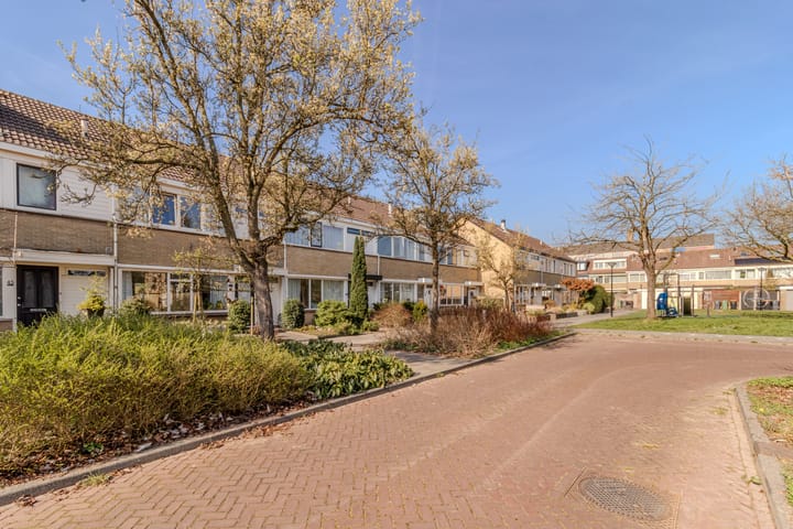 Foto 30 van Calsplantsoen 47