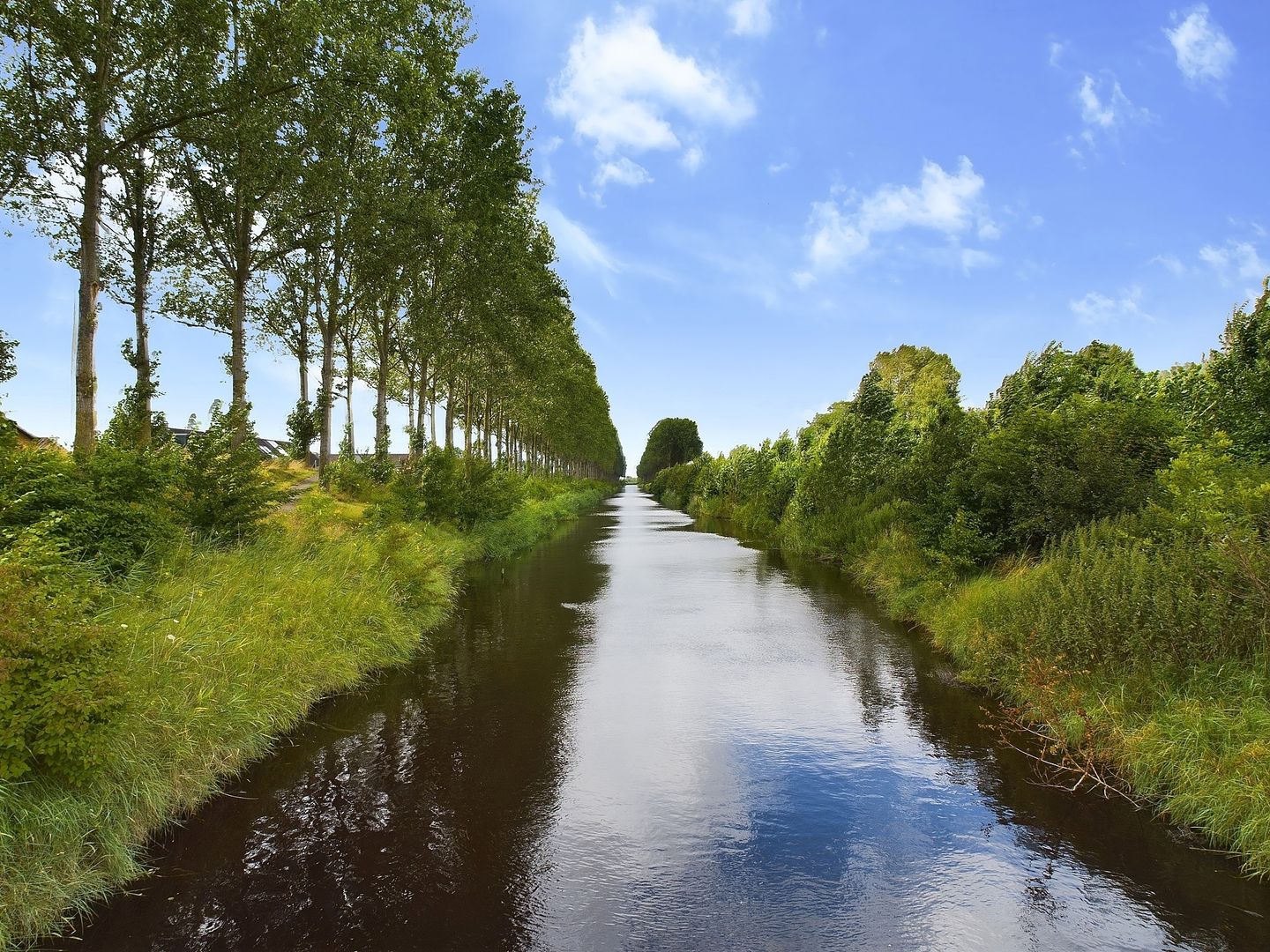 Foto 34 van Mosselbank 2