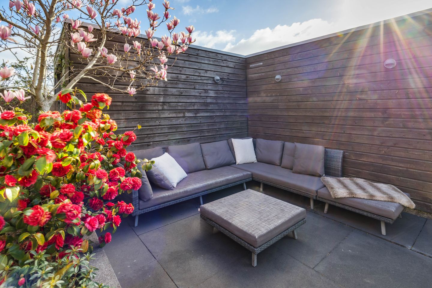 Foto 25 van Piet Baarslaan 29