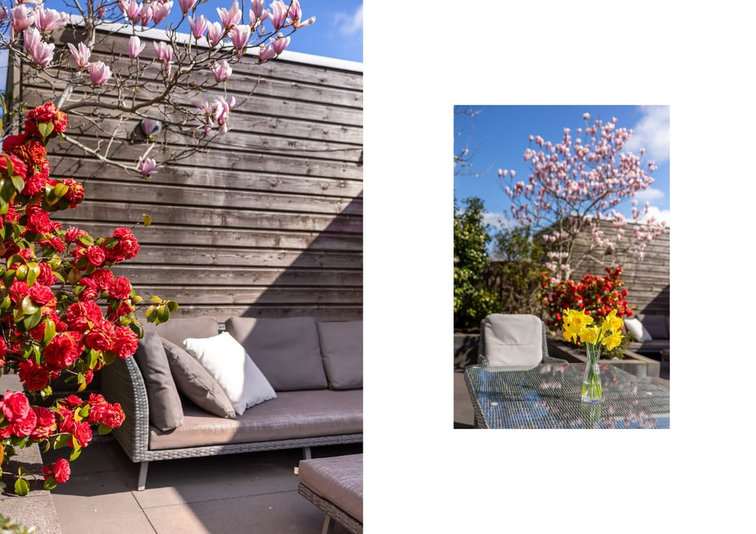 Foto 26 van Piet Baarslaan 29