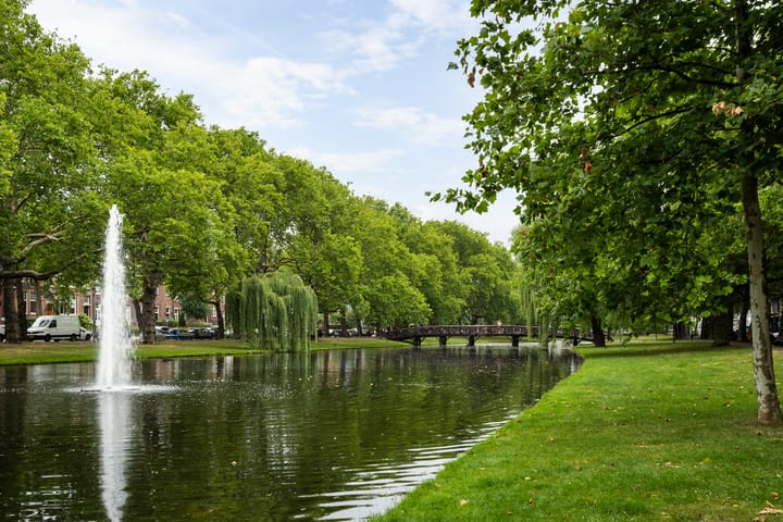 Foto 38 van Graaf Florisstraat 13-A03