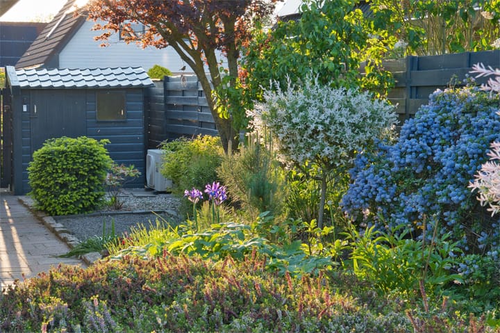 Photo 52 of Simon Sipmastrjitte 3