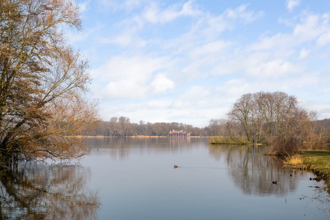 Foto 2 van Kralingse Plaslaan 54-A