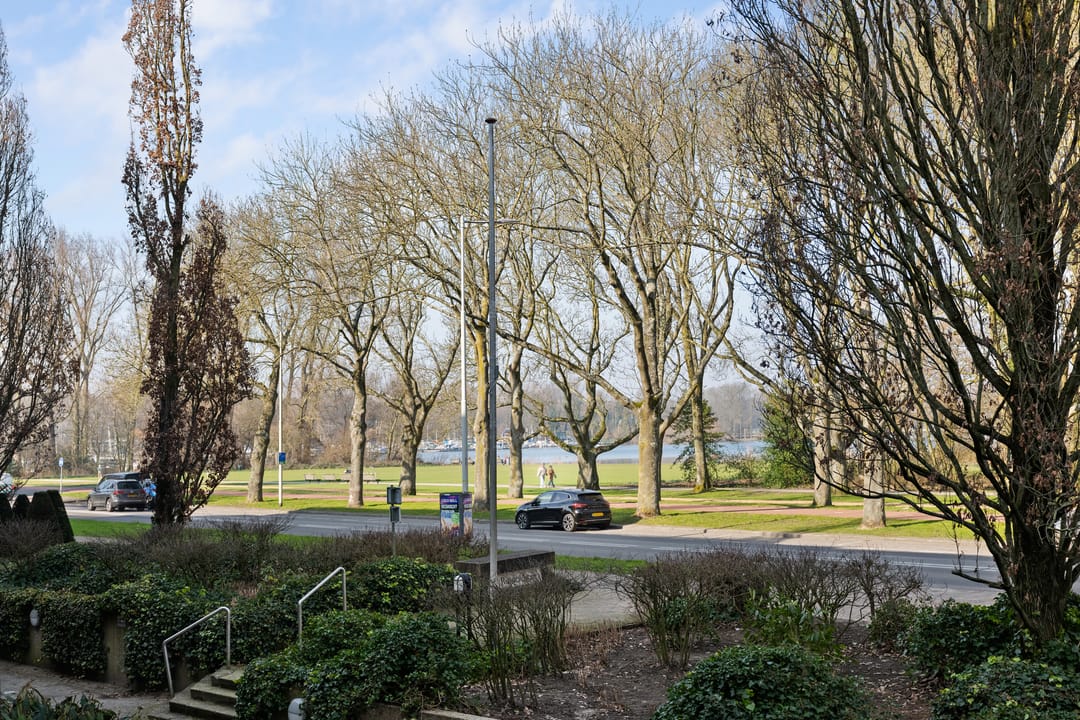 Foto 32 van Kralingse Plaslaan 54-A