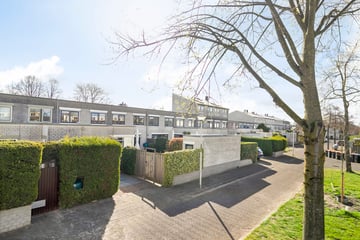 Mandolinestraat thumbnail