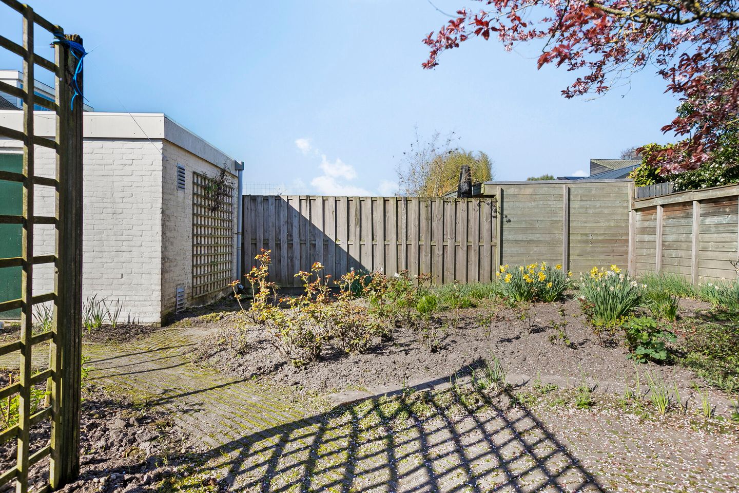 Foto 25 van Esdoornlaan 28