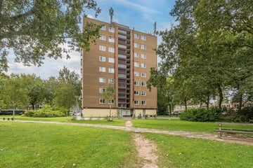 Thijssestraat thumbnail