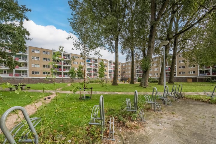 Foto 31 van Thijssestraat 185