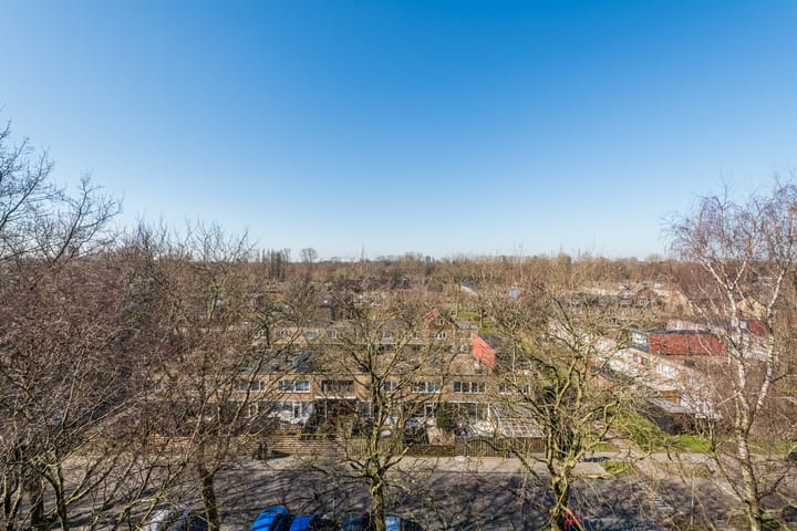 Foto 33 van Thijssestraat 185