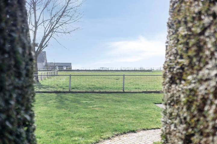 Foto 44 van Hollestraat 18