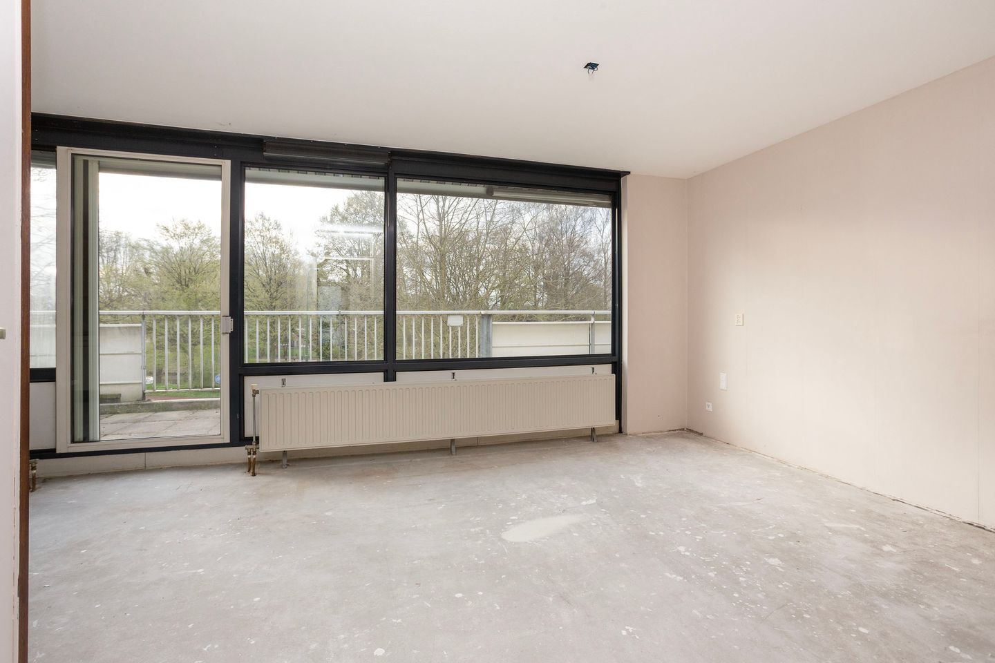 Photo 4 of Homoet 5-C