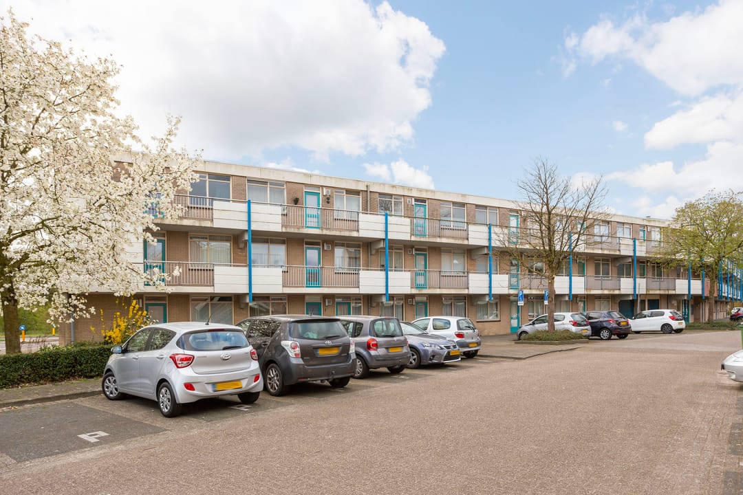 Photo 31 of Homoet 5-C