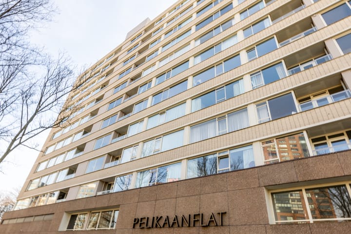 Foto 29 van 's-Lands werf 226