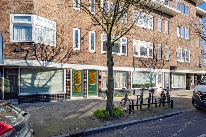 Foto 5 van Laan van Nieuw-Guinea 7-BS