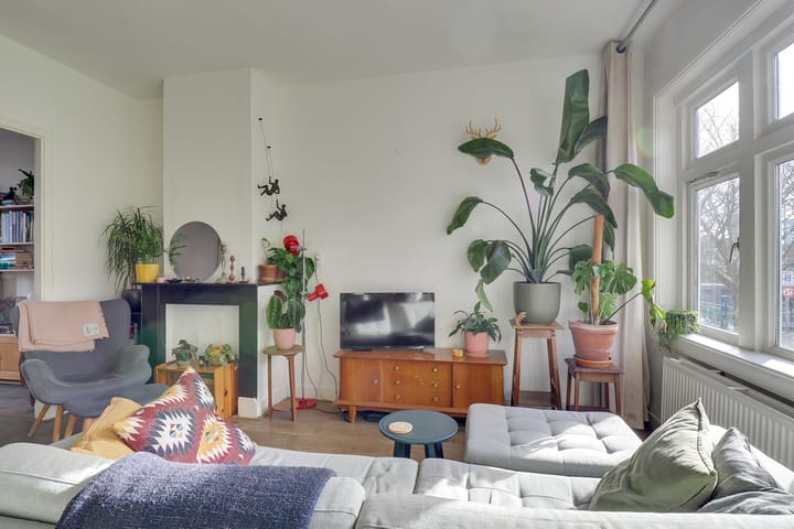 Foto 8 van Laan van Nieuw-Guinea 7-BS