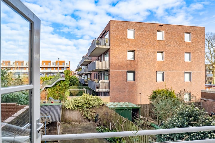 Foto 14 van Laan van Nieuw-Guinea 7-BS