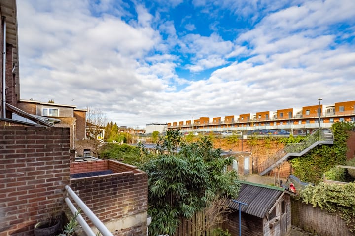 Foto 17 van Laan van Nieuw-Guinea 7-BS