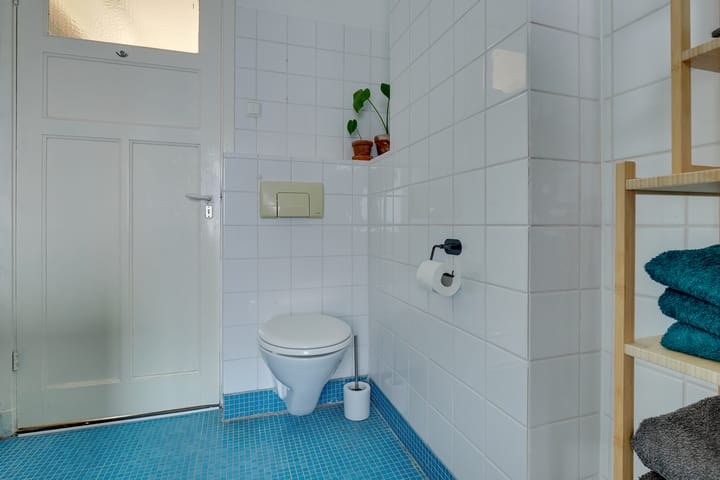 Foto 31 van Laan van Nieuw-Guinea 7-BS