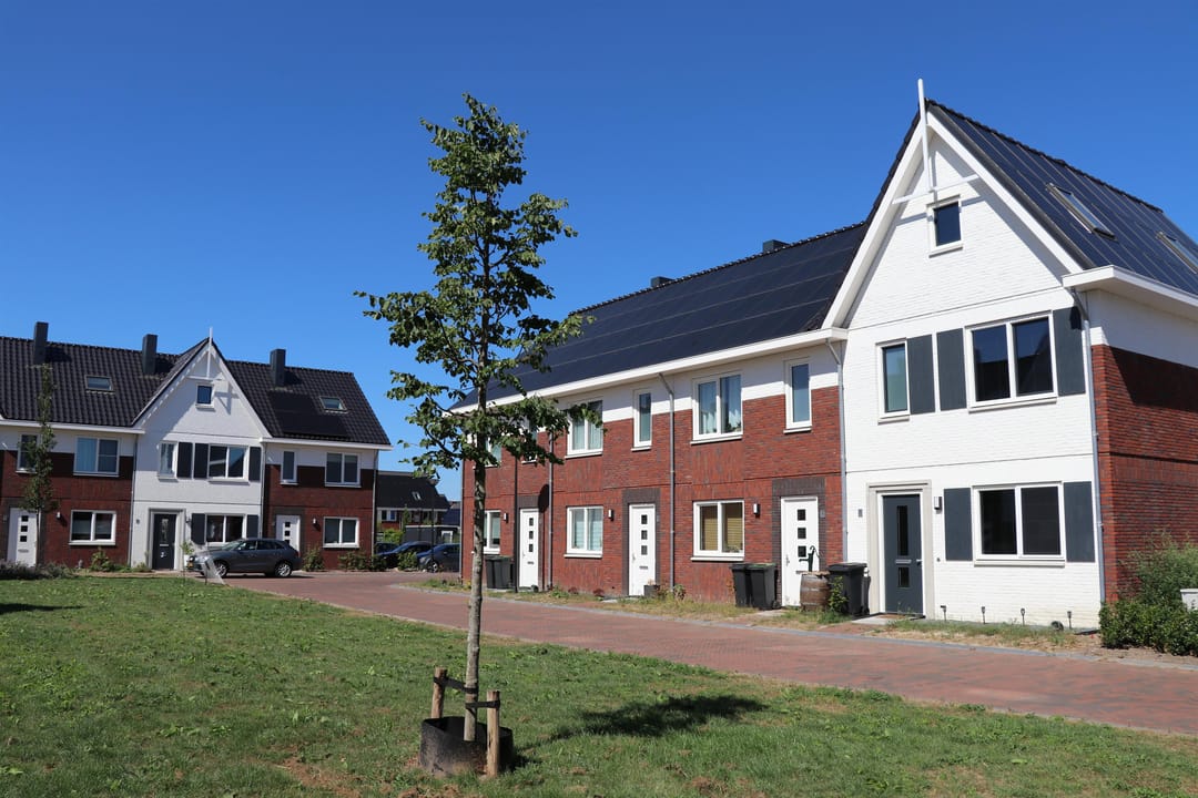 Foto 2 van Kamille 26