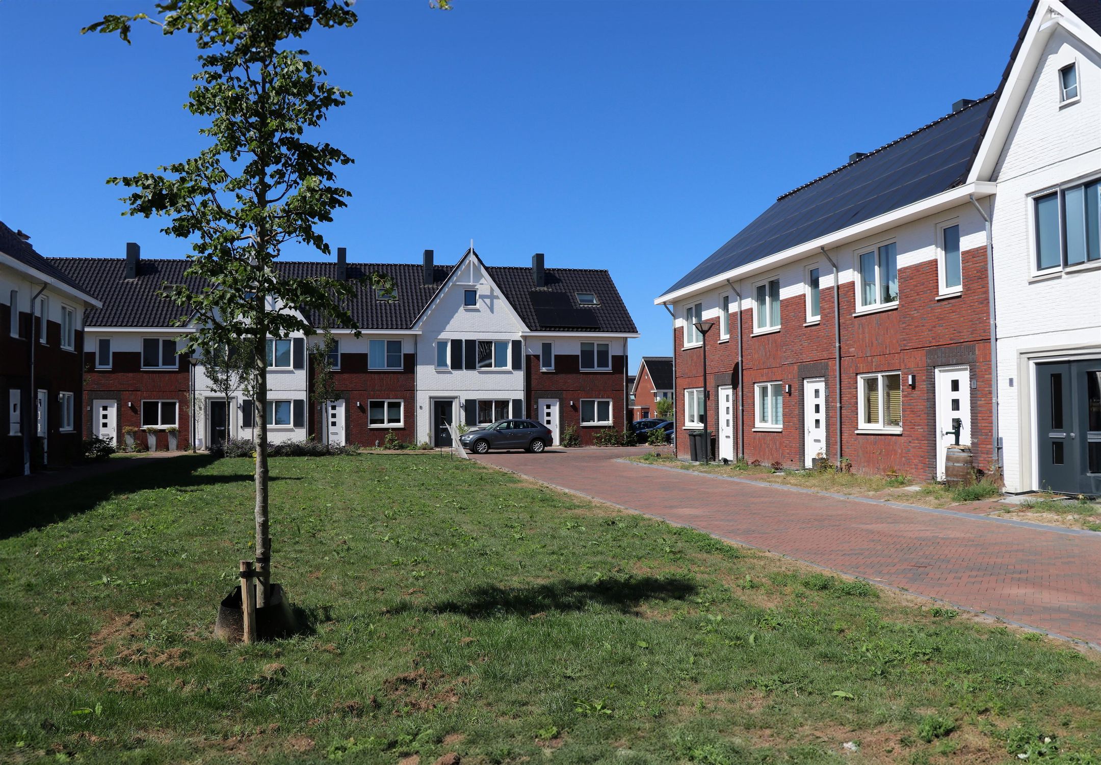 Foto 3 van Kamille 26