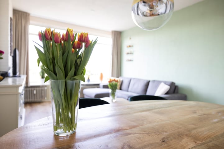 Foto 20 van Albert Verweylaan 1-II