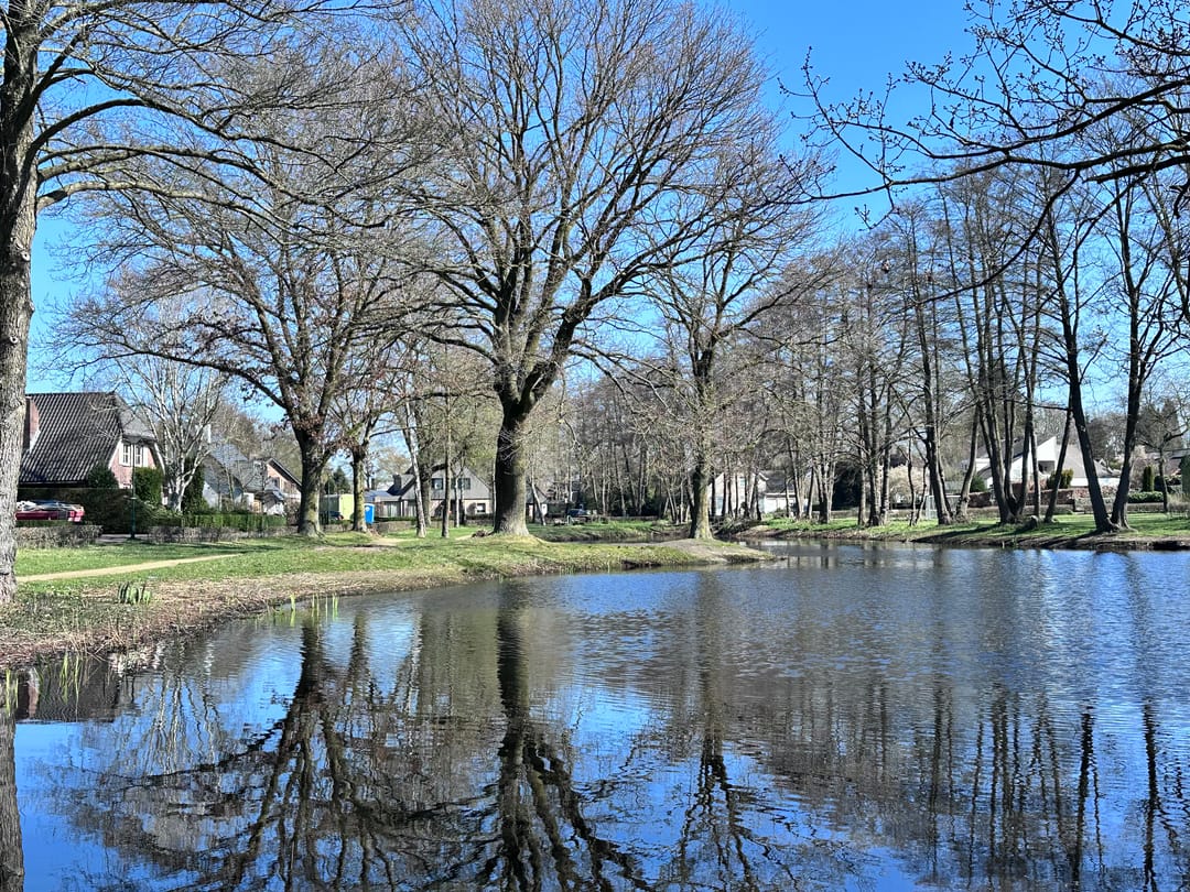 Foto 7 van Hoefstraat 24