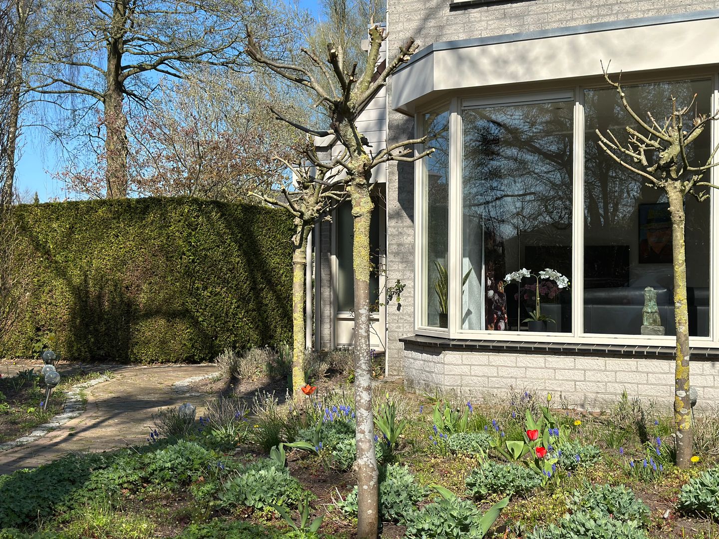 Foto 44 van Hoefstraat 24