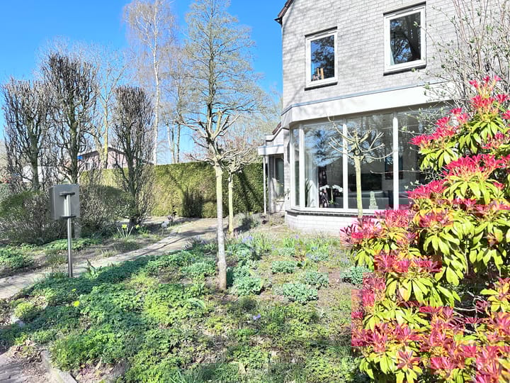 Foto 45 van Hoefstraat 24