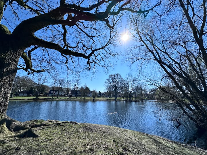 Foto 50 van Hoefstraat 24