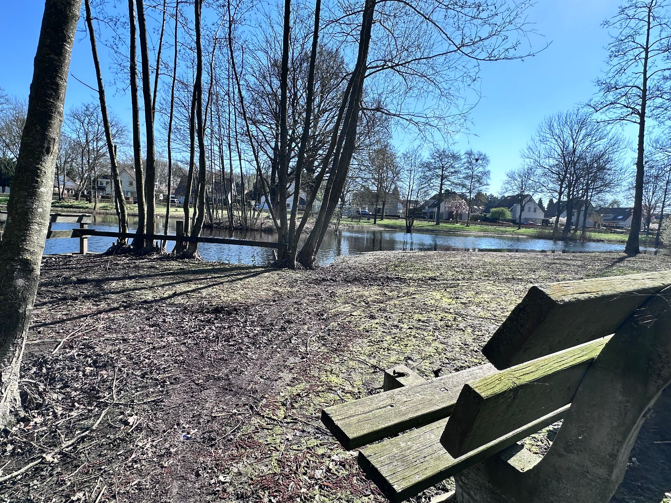 Foto 51 van Hoefstraat 24