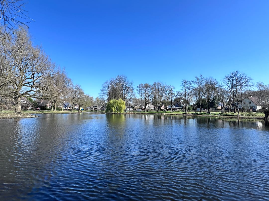 Foto 53 van Hoefstraat 24