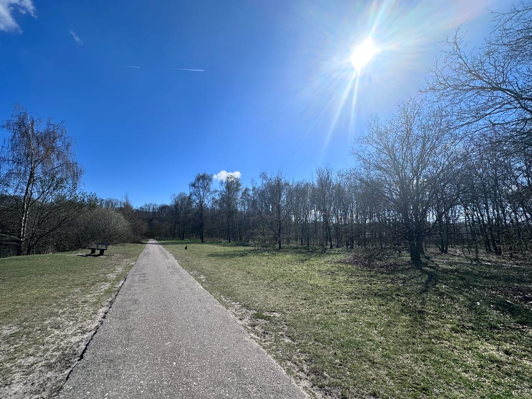 Foto 58 van Hoefstraat 24