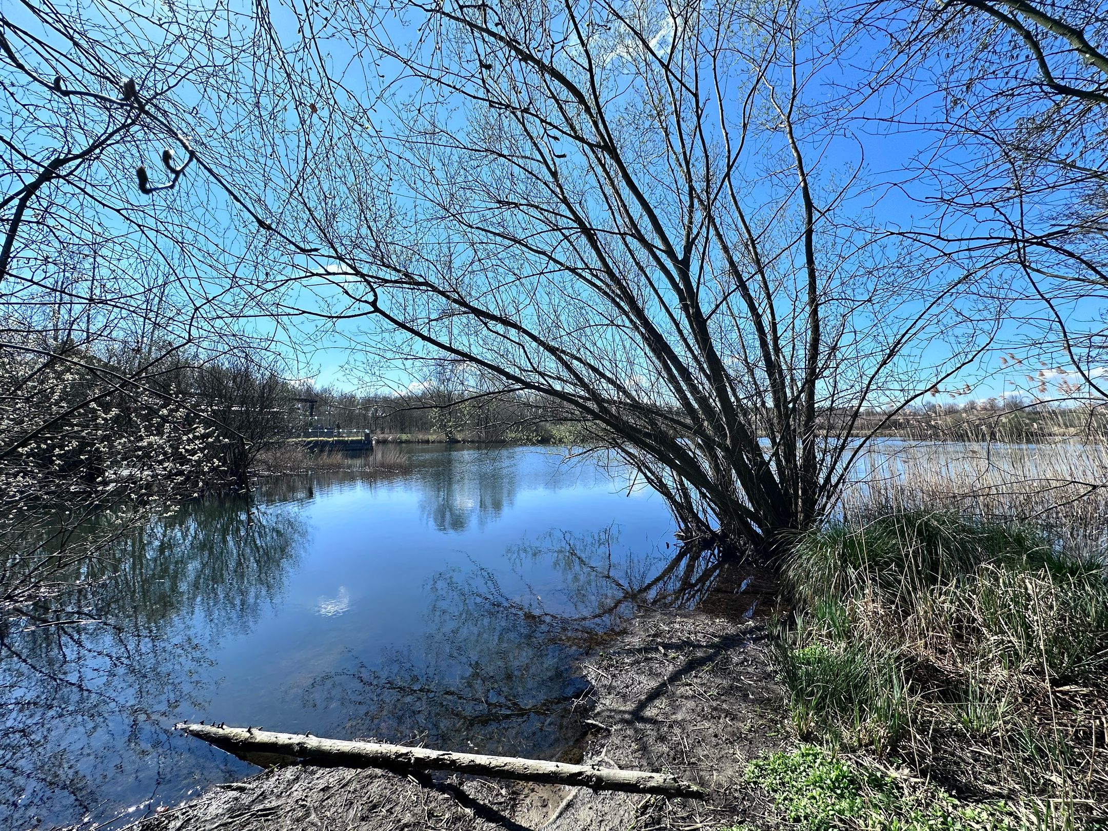 Foto 60 van Hoefstraat 24