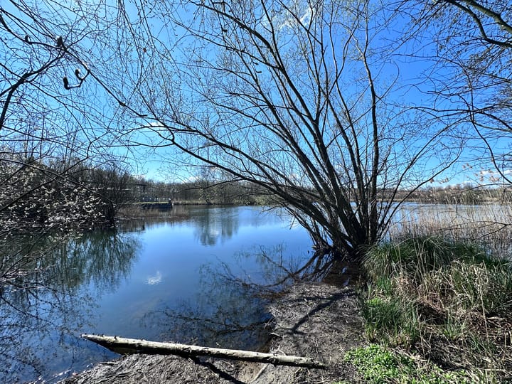 Foto 60 van Hoefstraat 24