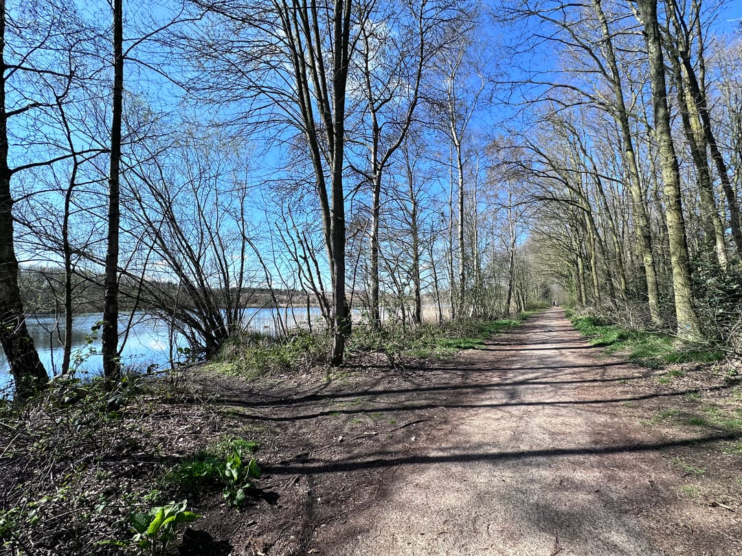 Foto 61 van Hoefstraat 24