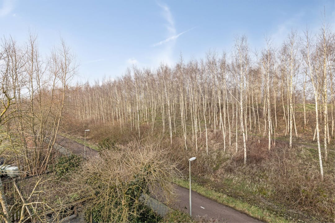 Photo 16 of Loverendale 39